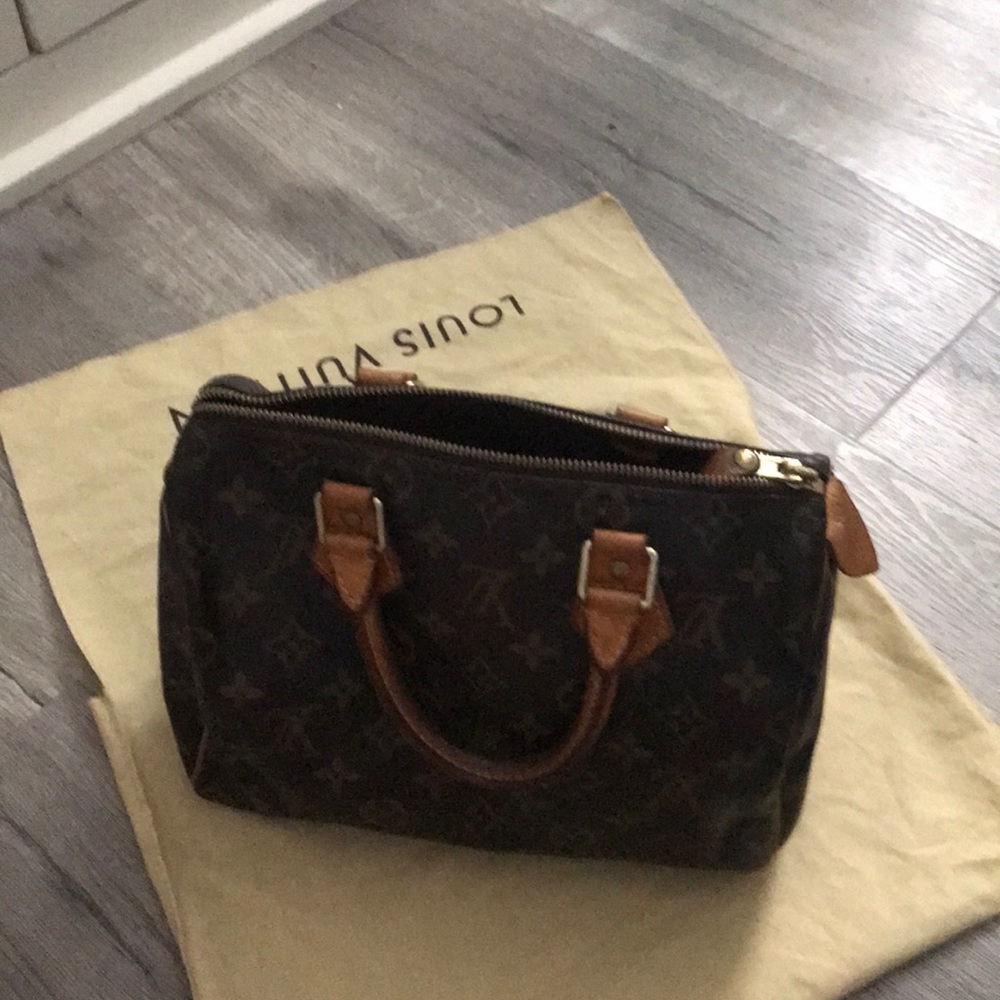 Louis Vuitton small speedy